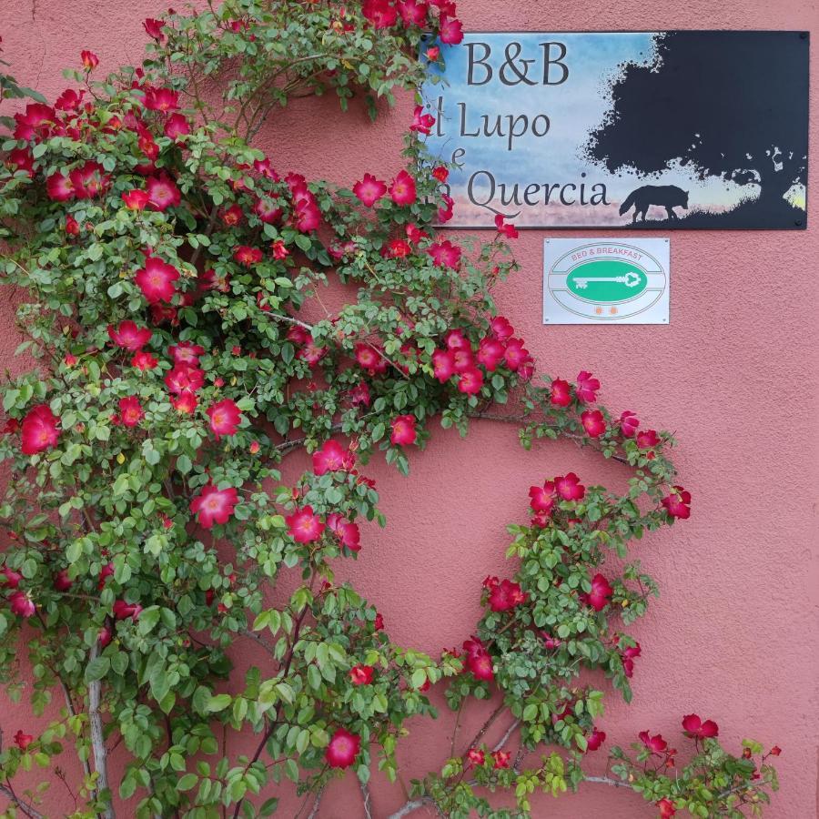 B&B Il Lupo E La Quercia Кастелнуово Магра Екстериор снимка